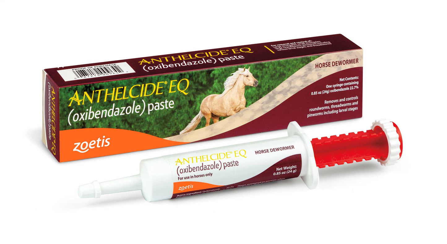 Anthelcide® EQ Paste 24 G Syringe