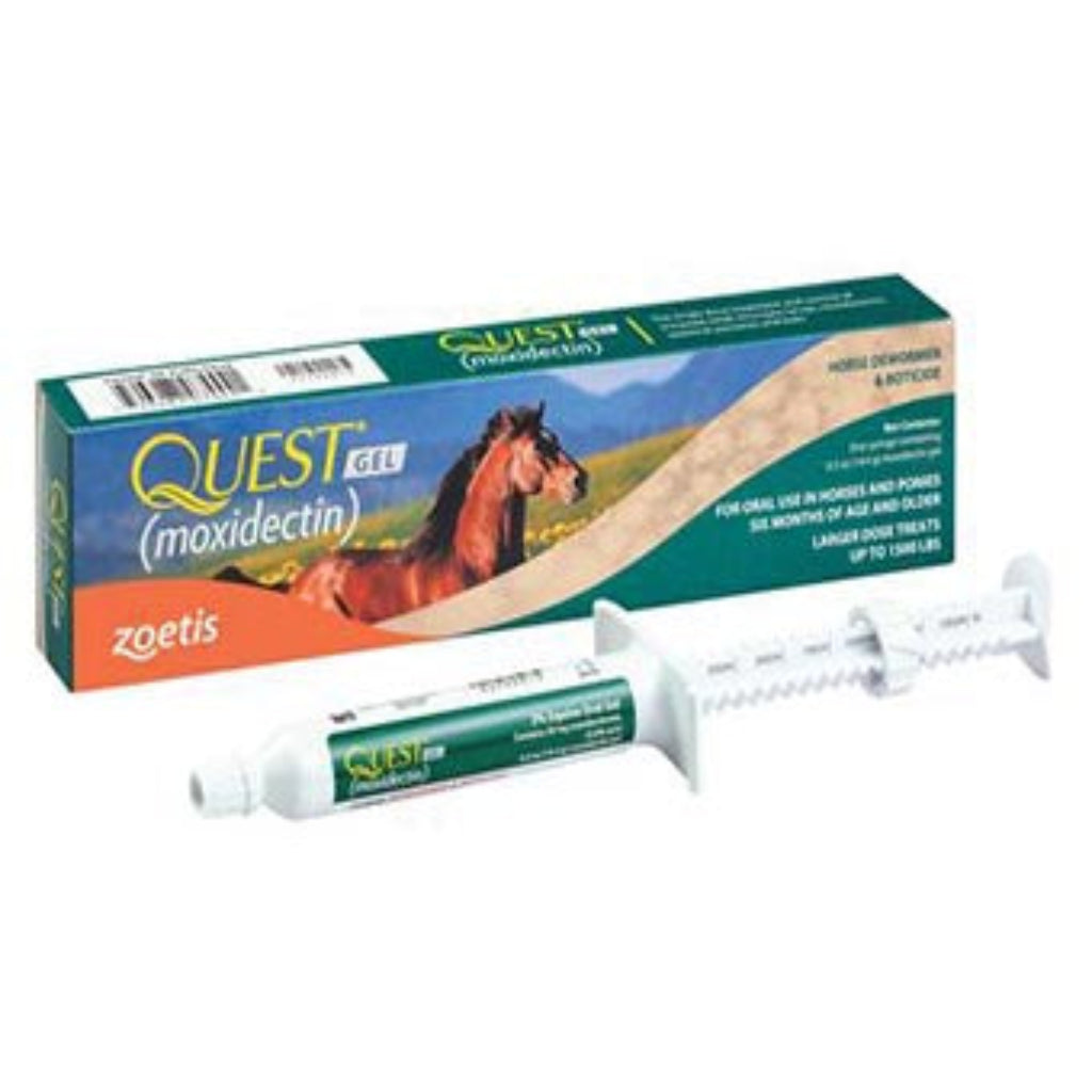 Packaging of QUEST EQUINE ORAL GEL 14.4 G SYRINGE with a picture of a horse and the product details.