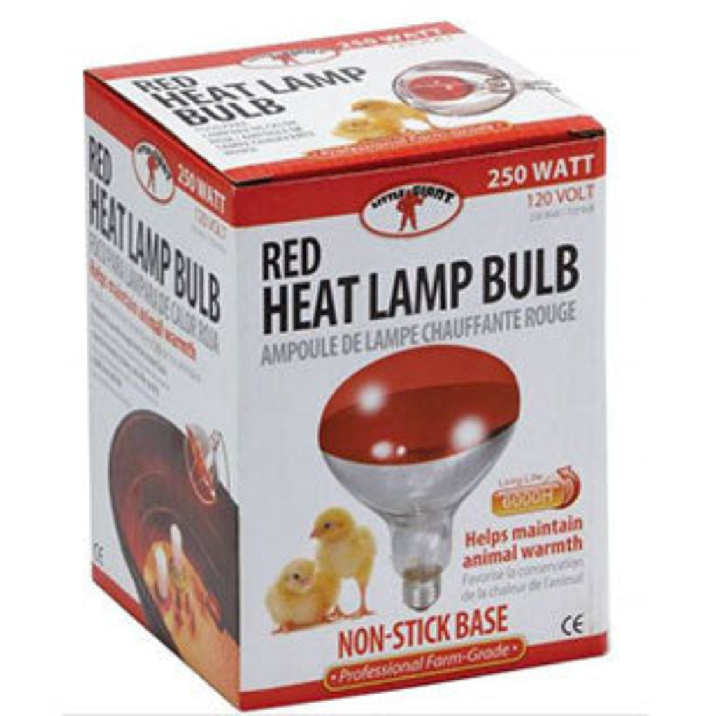 Box of red heat lamp bulb with branding and product details on a white background