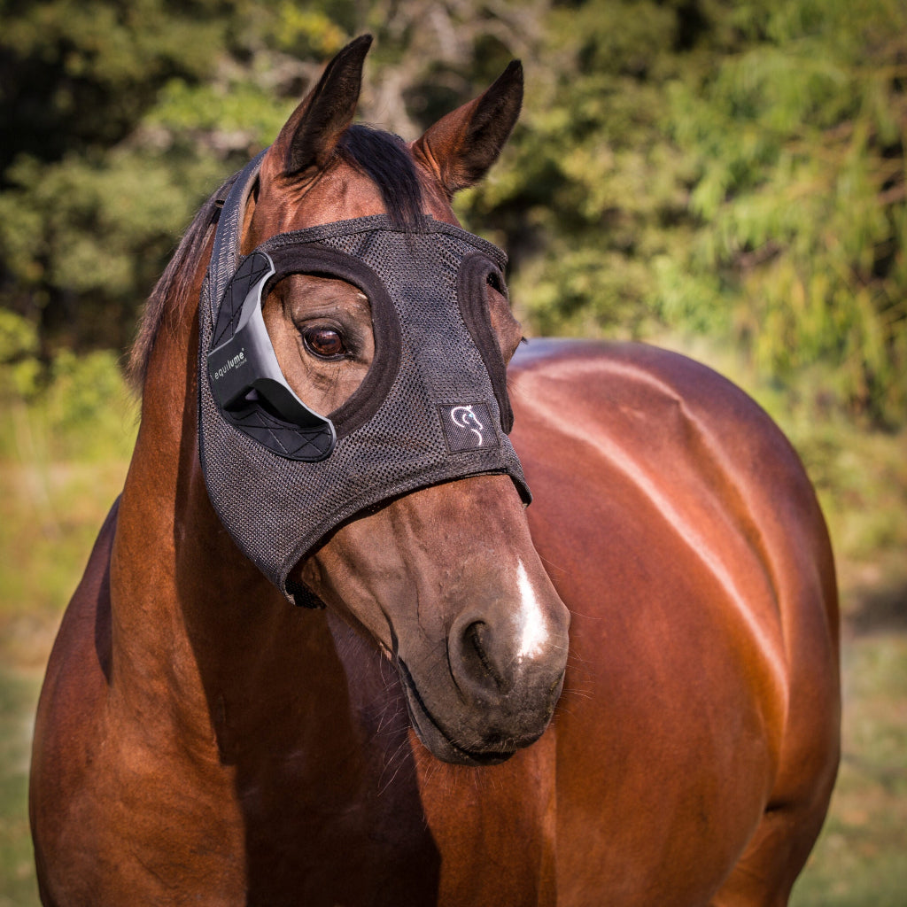 Belfield Seasonal Breeding Light Mask + Activation Key