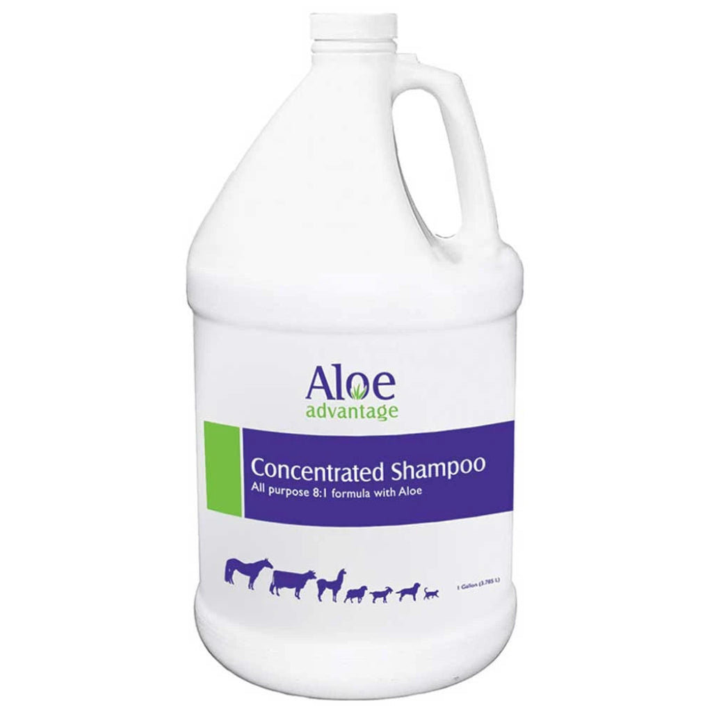 Durvet Aloe Advantage Concentrated Shampoo gallon