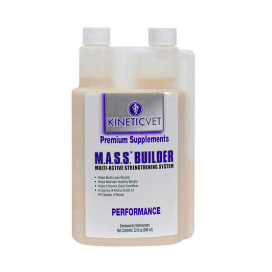 M.A.S.S. Builder® - Quart