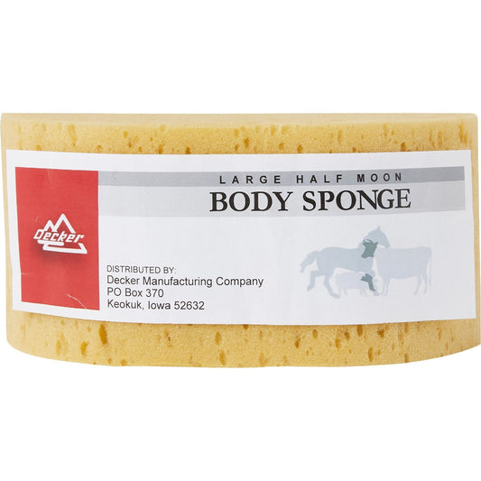 large body sponge