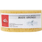 large body sponge