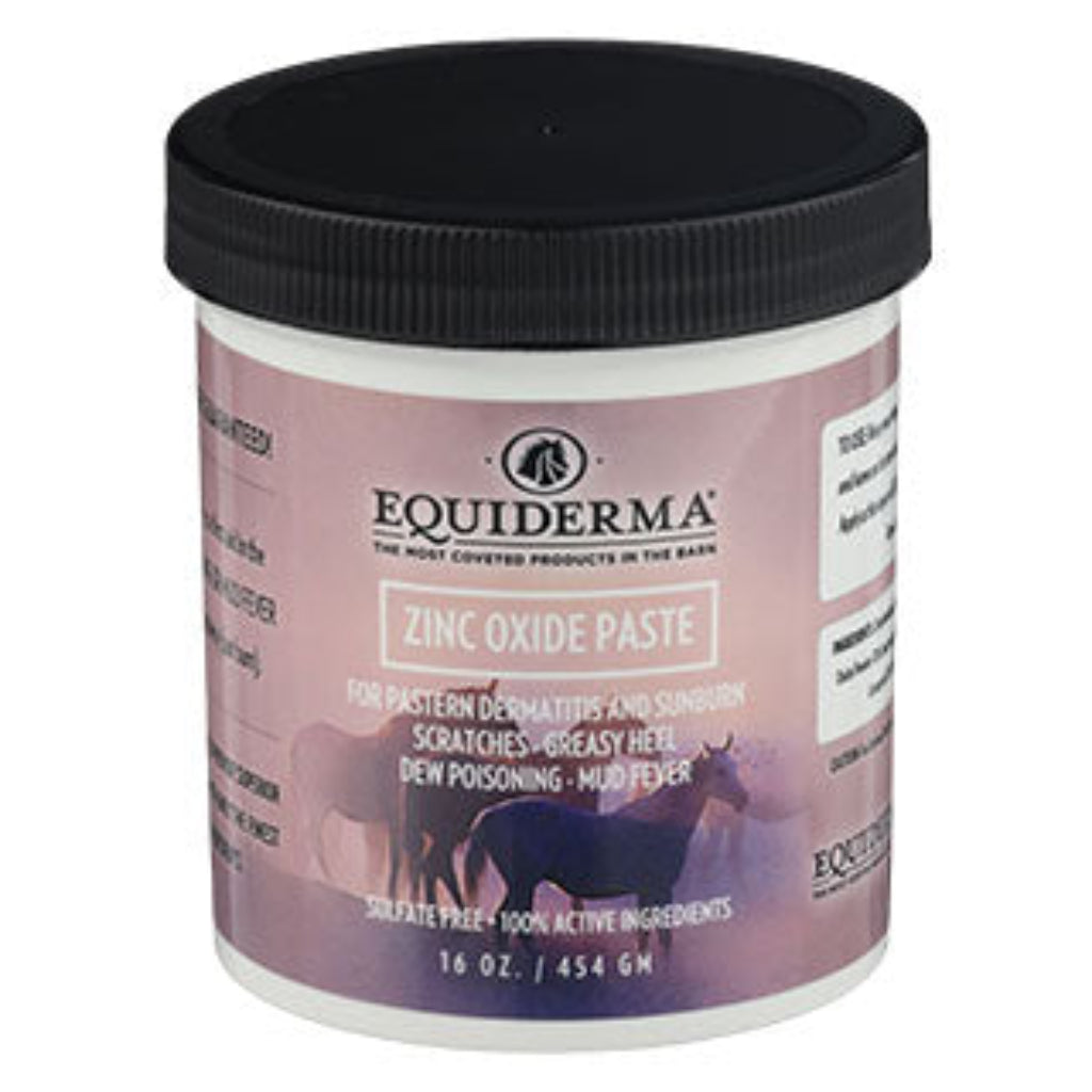 Equiderma Zinc Oxide Paste 16 OZ