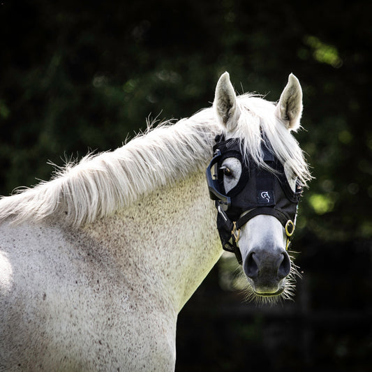 Curragh Replaceable Breeding Light Mask + Activation Key