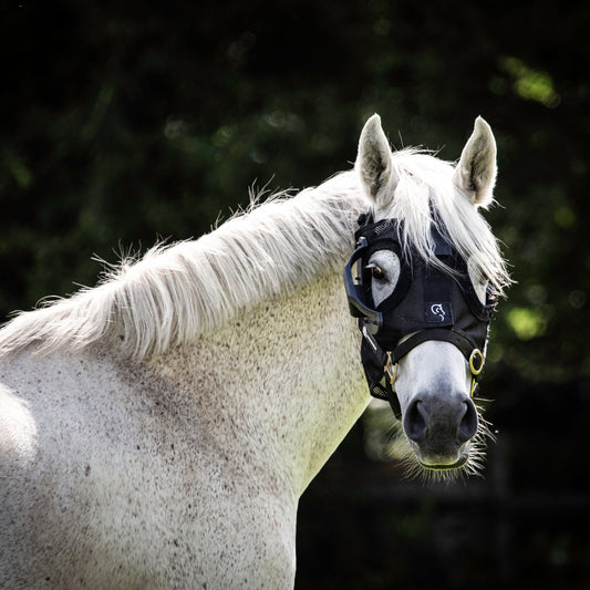Curragh Replaceable Light Cup