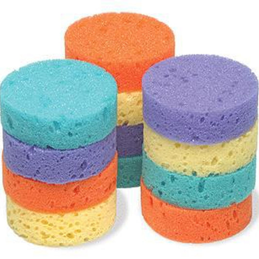 Rainbow Tack Sponge - 12 Pack